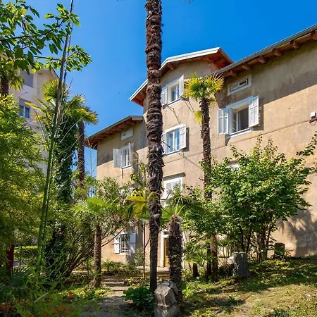 Palm And Palmino Garden Near Lungo Mare